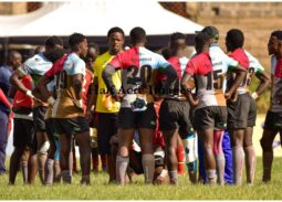 Kenya Harlequin photo Courtesy/Denis Acre-half