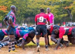 South coast Pirates vs Western Bulls. Photo Courtesy